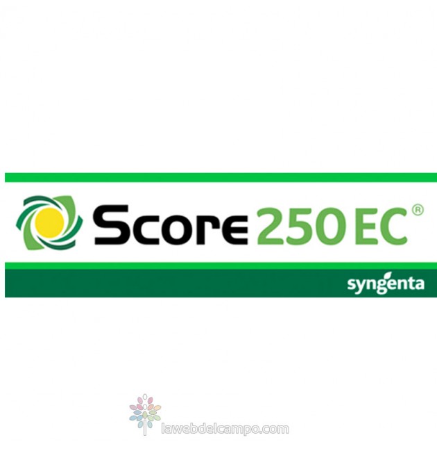 Score 25 Ec El Fungicida De Syngenta